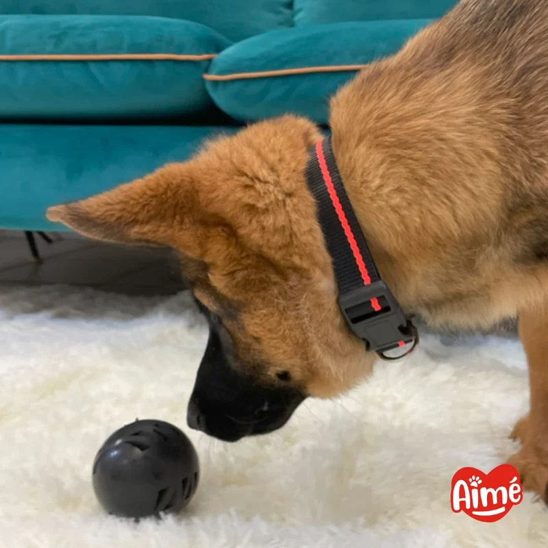 Balle pour chien indestructible - 100% Caoutchouc Végétal