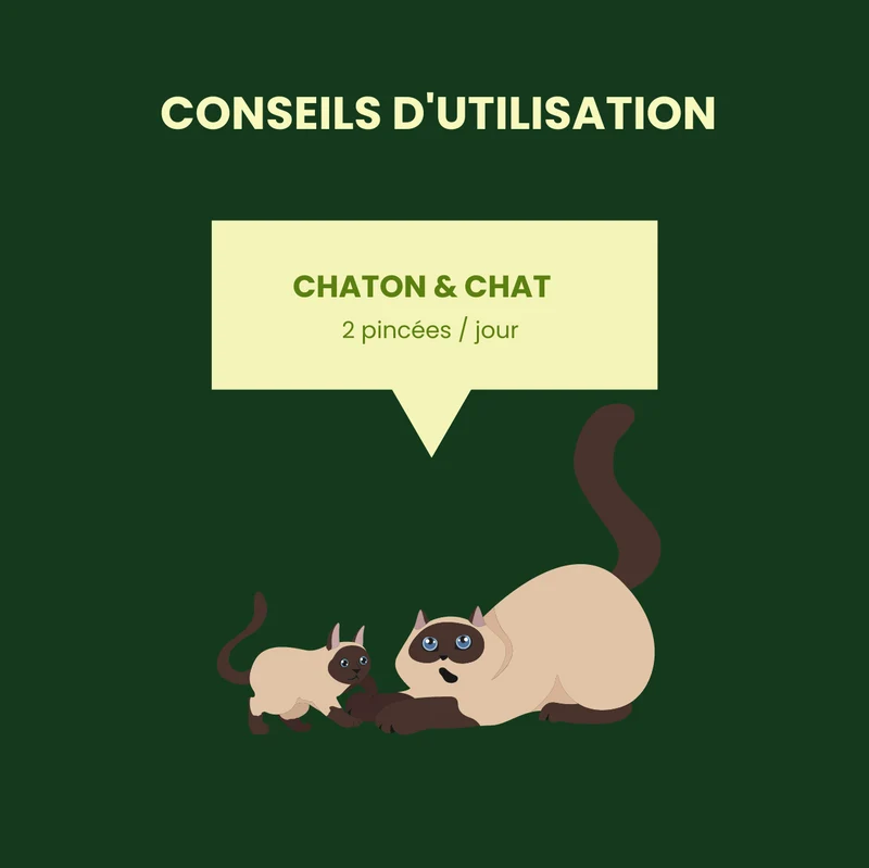 Poudre Dentaire Naturelle pour Chien et Chat