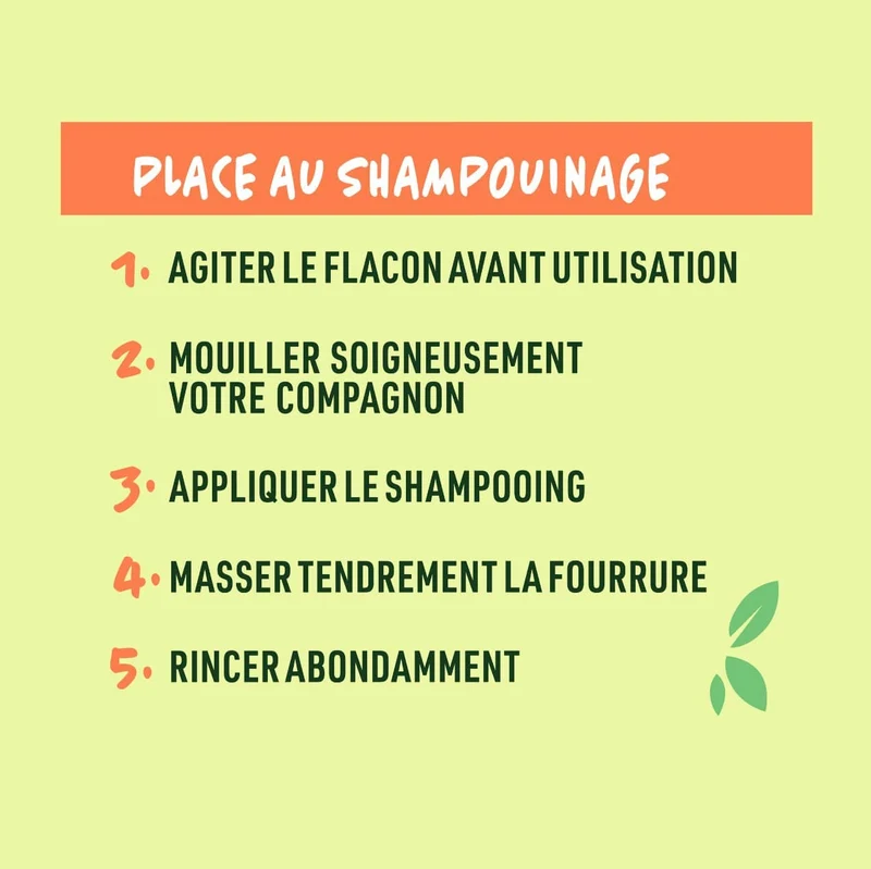Shampoing 2en1 à faire soi-même pour Chien, Huile d'Argan & Menthe