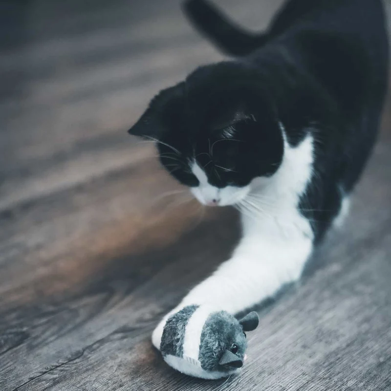 Souris vibreur pour Chat