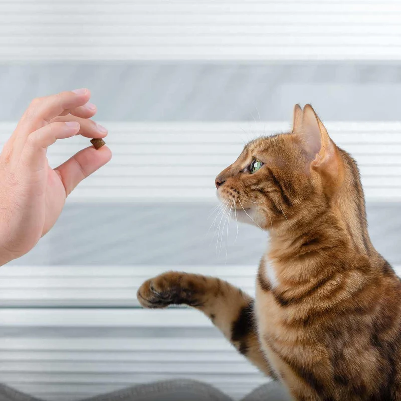 Friandises pour Chat, contrôle des boules de poils 60g