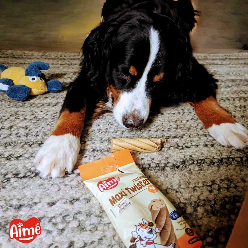 Friandises Twisters dinde sans céréales pour Chien