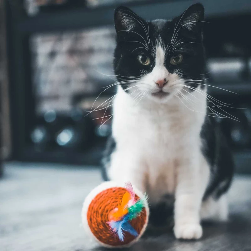 Toupie griffoir XXL pour Chat