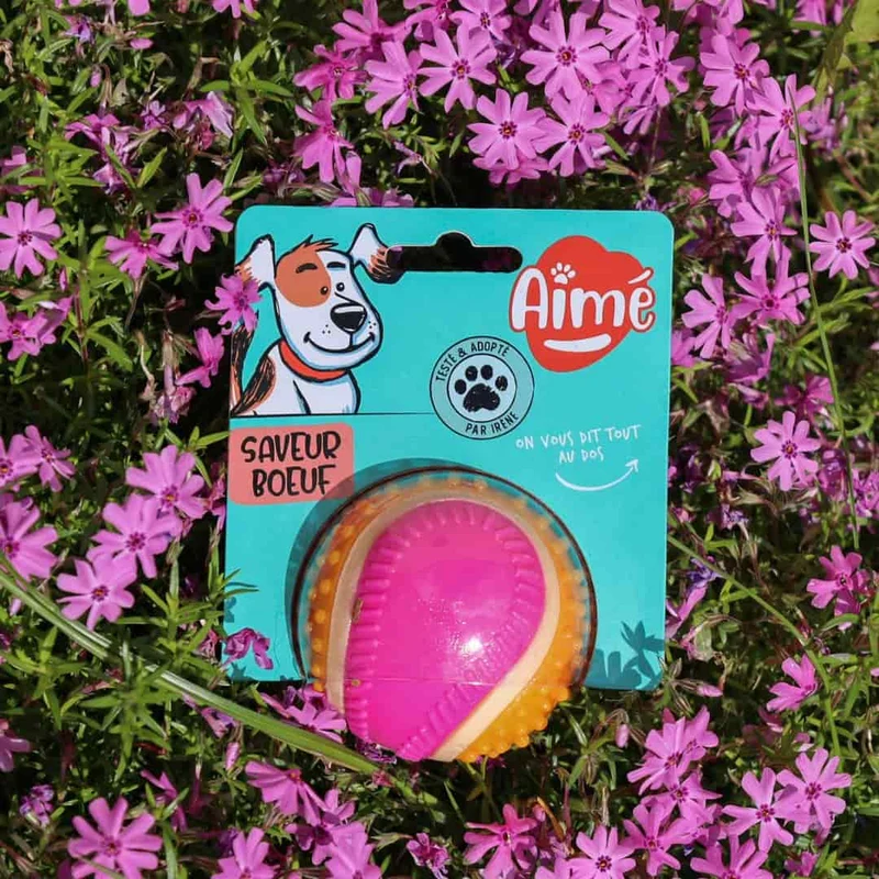 Balle rebondissante pour Chien 5 en 1