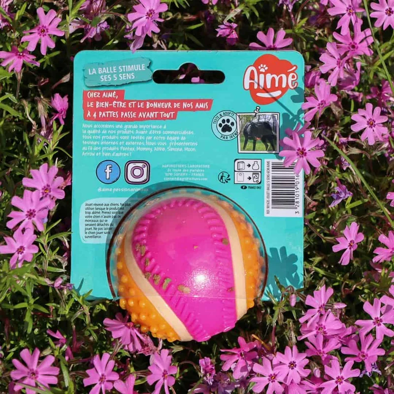 Balle rebondissante pour Chien 5 en 1