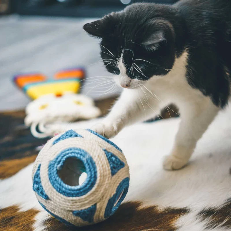 Balle griffoir XXL pour Chat