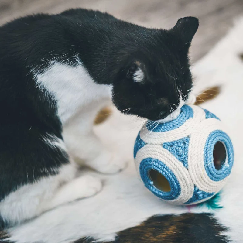 Balle griffoir XXL pour Chat