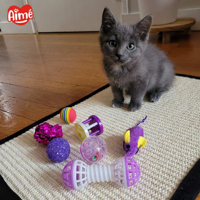 7 jouets mix pour Chat