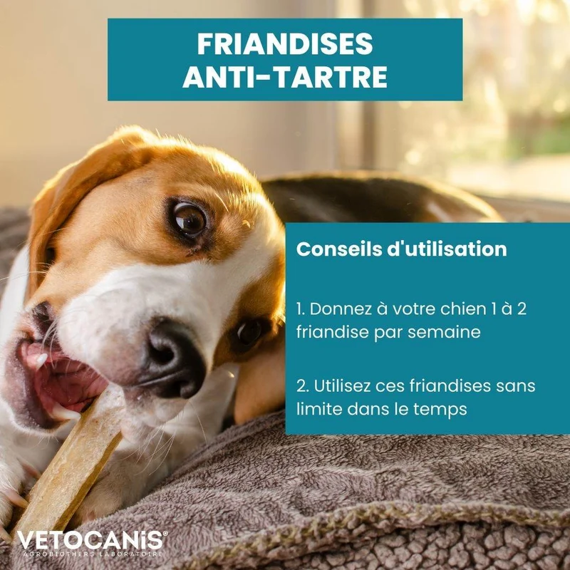 Friandises Anti-Tartre, Sans Sucres, Sans Céréales pour Chien