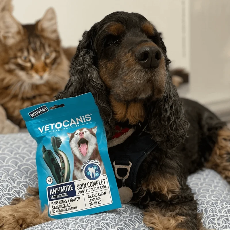 Friandises Anti-Tartre, Sans Sucres, Sans Céréales pour Chien