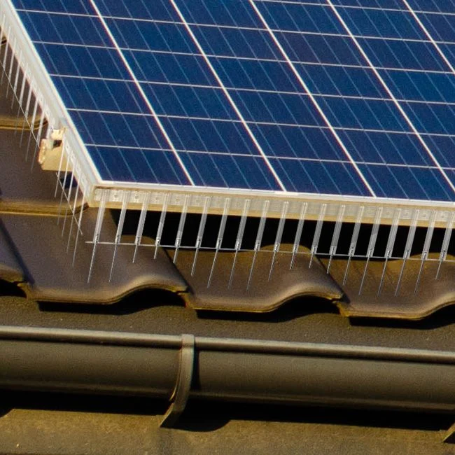 Probird Solar Flex 160mm