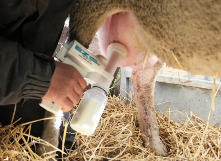 Melkpomp set voor schapen en geiten