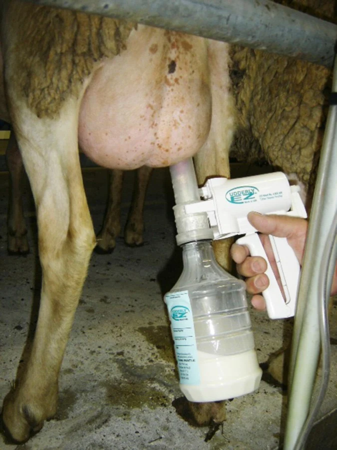 Melkpomp set voor schapen en geiten