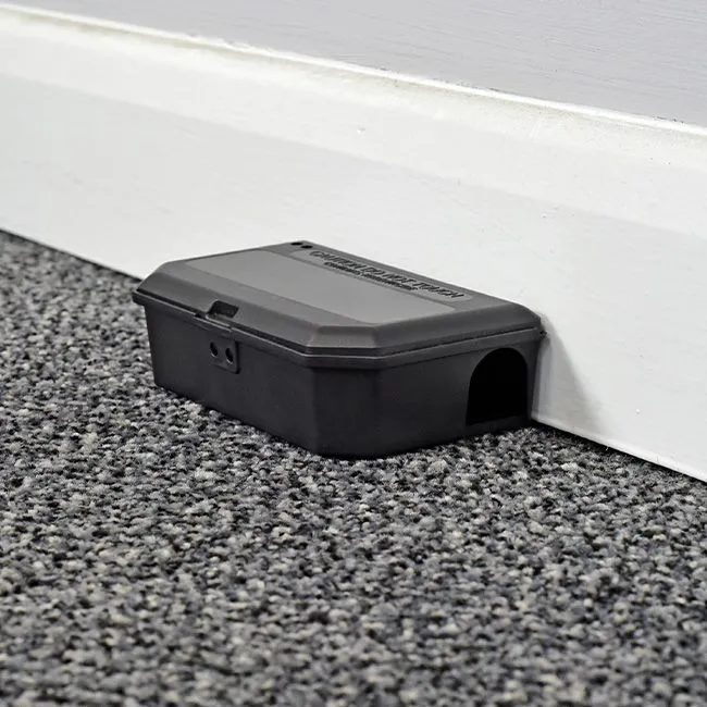 NG Mouse Box