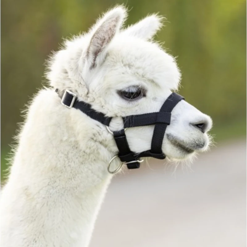 Halster Alpaca verstelbaar 20mm