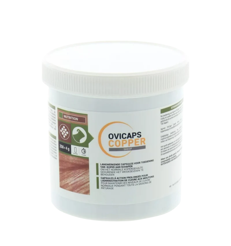 OviCaps Copper Sheep - 250 stuks