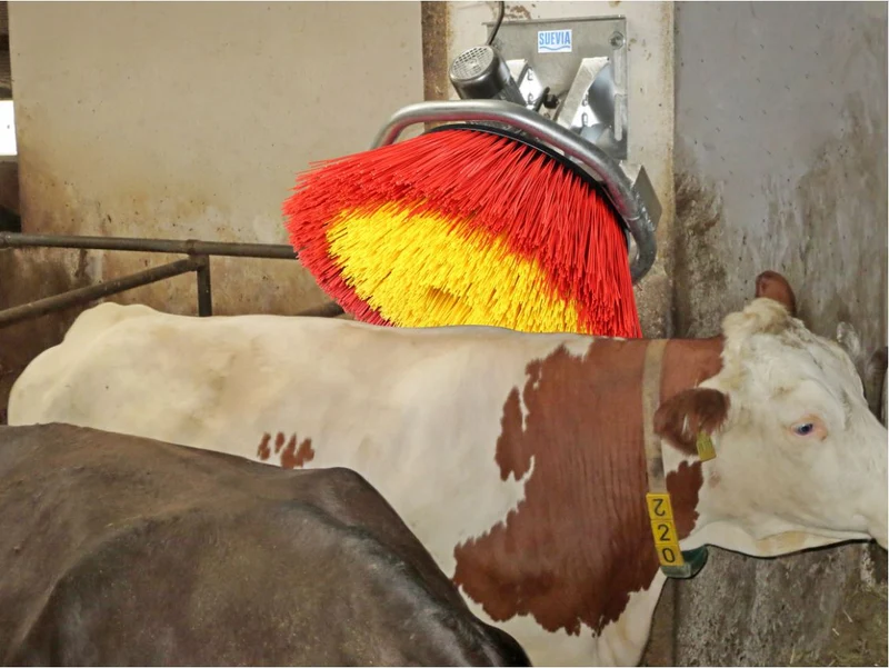 Koeborstel EASYCLEANER 230 V, 50 Hz