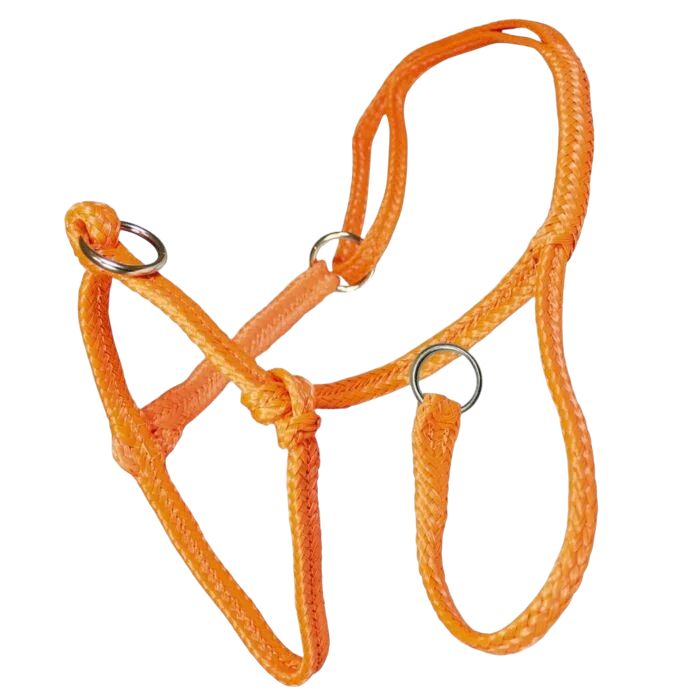Schuifhalster Koe gevlochten nylon