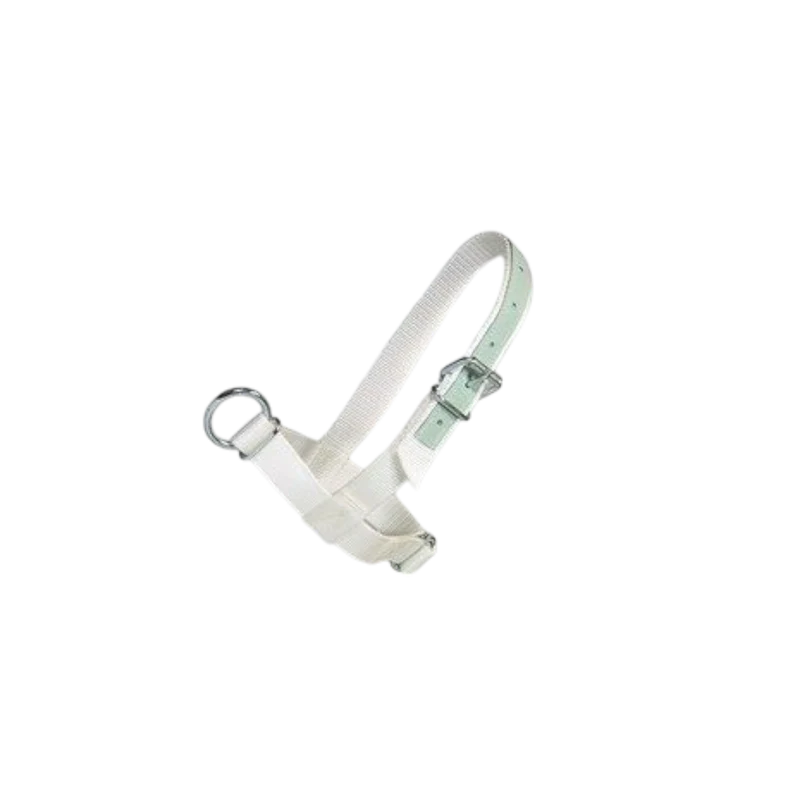 Halster koe nylon met leer verstevigd