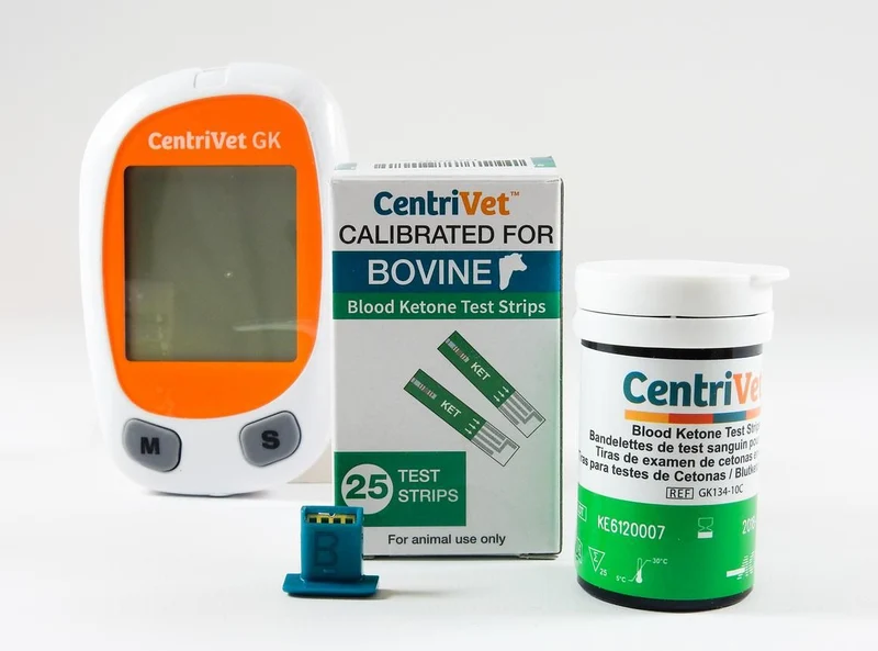 Ketose teststrips 25-st