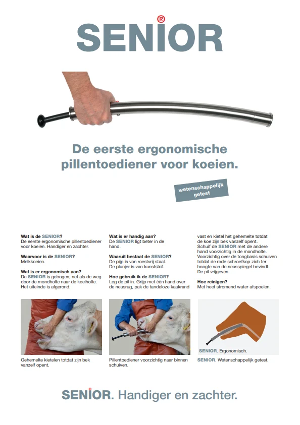 Ingever Senior