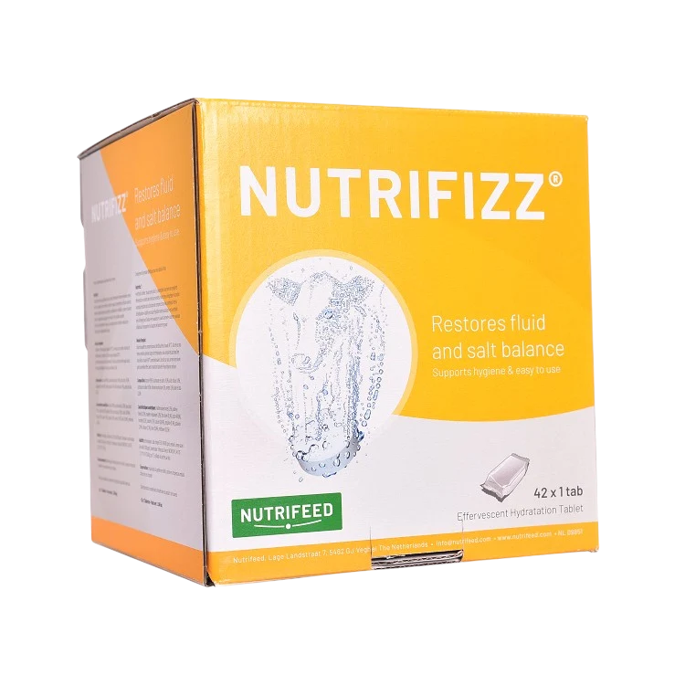 Nutrifizz bruistablet 42 x 1 tablet