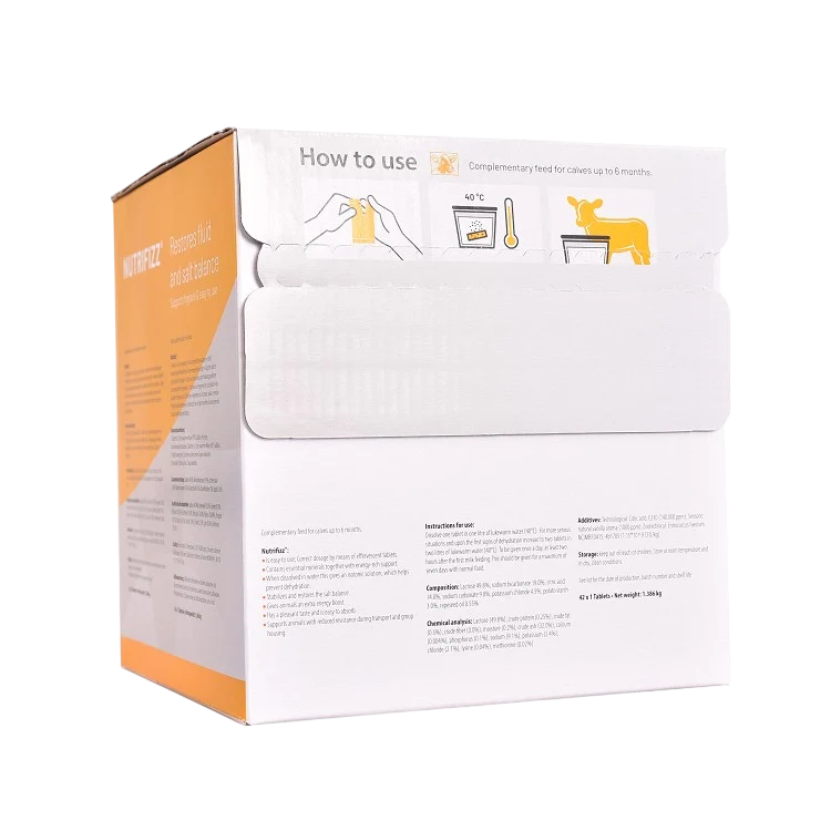 Nutrifizz bruistablet 42 x 1 tablet