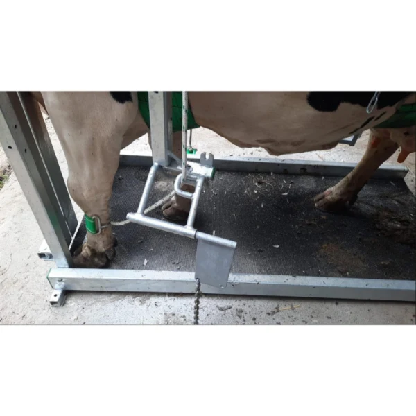 Klauwbekapbox Henken type L Profi