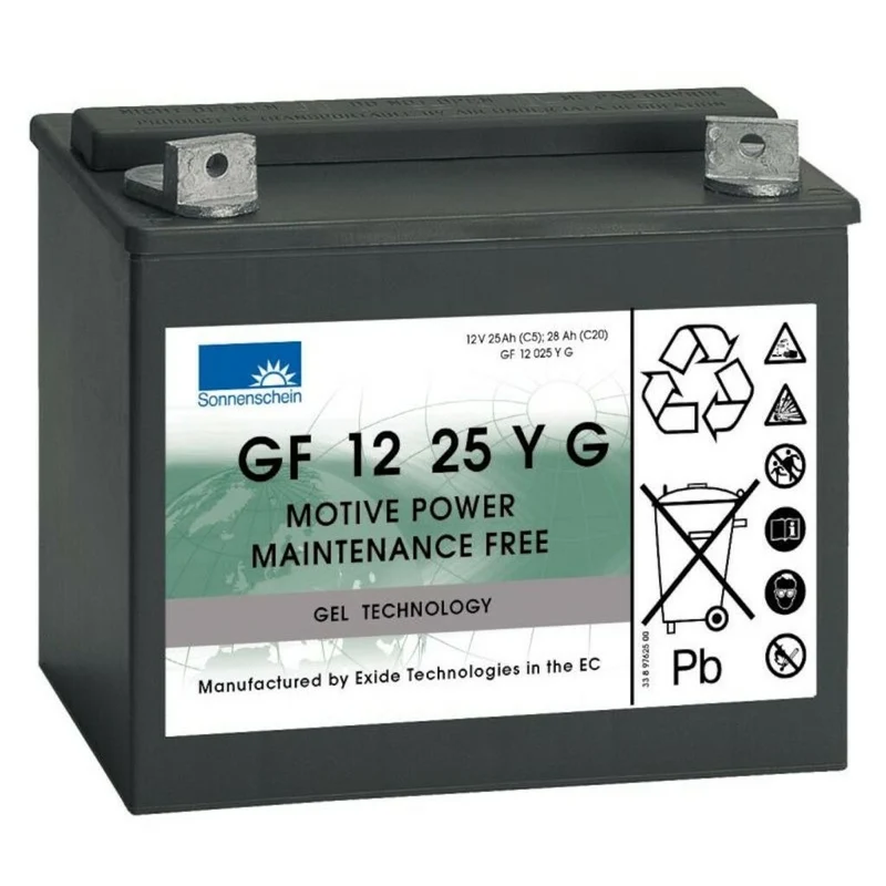 Batteria a gel 12 V 25 Ah per swingo 150/350/455/755 Diversey TASKI 2 pezzi DISPONIBILE IN 7 GIORNI LAVORATIVI