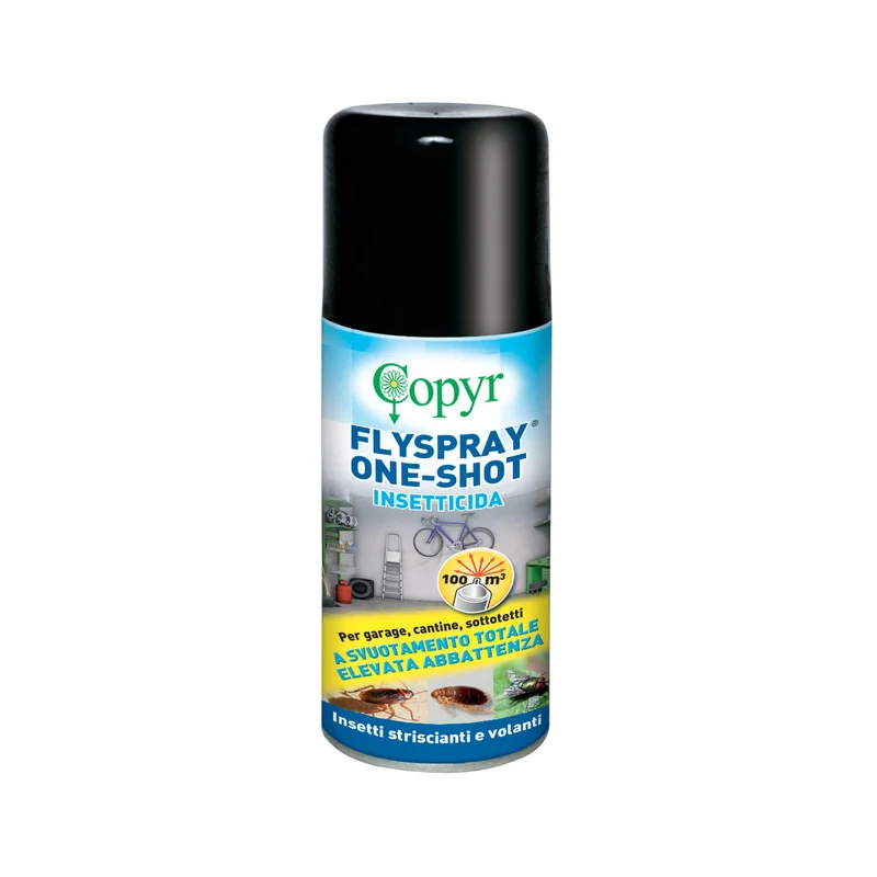 Insetticida per blatte, formiche e zanzare Copyr Flyspray One Shot 150 ml