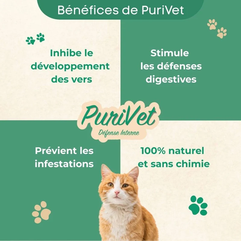 PuriVet - Défense Interne - Chat