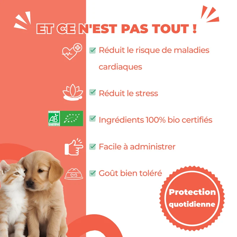 VitaliForme – Vitalité Active - chien