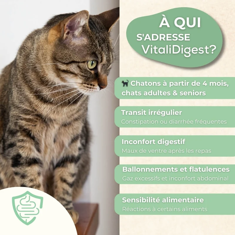 VitaliDigest - Équilibre Intestinal - chat