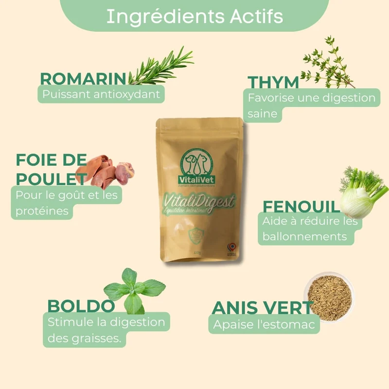 VitaliDigest - Équilibre Intestinal - chat