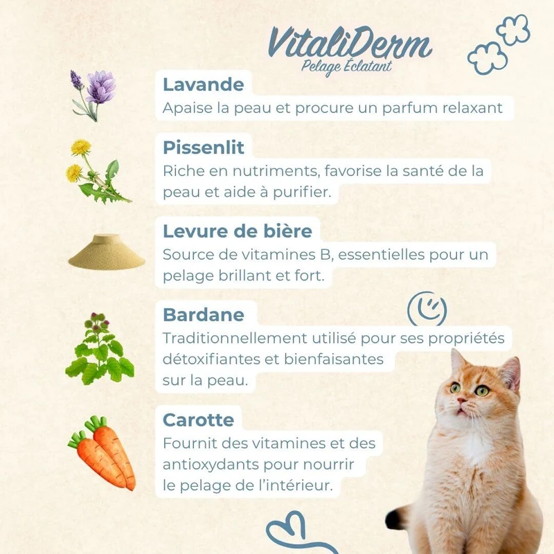 VitaliDerm - Pelage Éclatant - chat