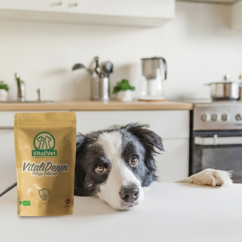 VitaliDerm – Pelage Éclatant - chien