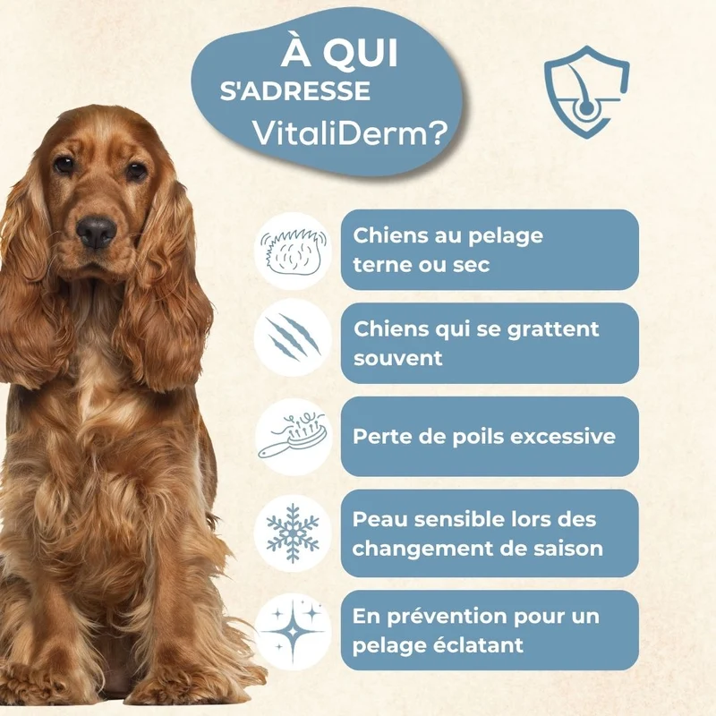 VitaliDerm – Pelage Éclatant - chien