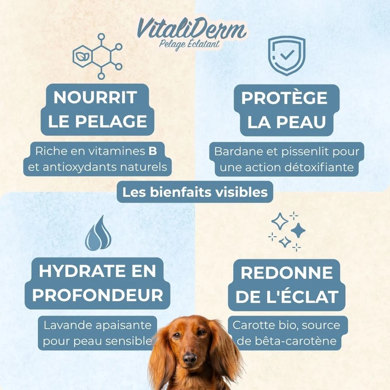 VitaliDerm – Pelage Éclatant - chien