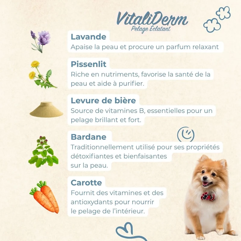 VitaliDerm – Pelage Éclatant - chien