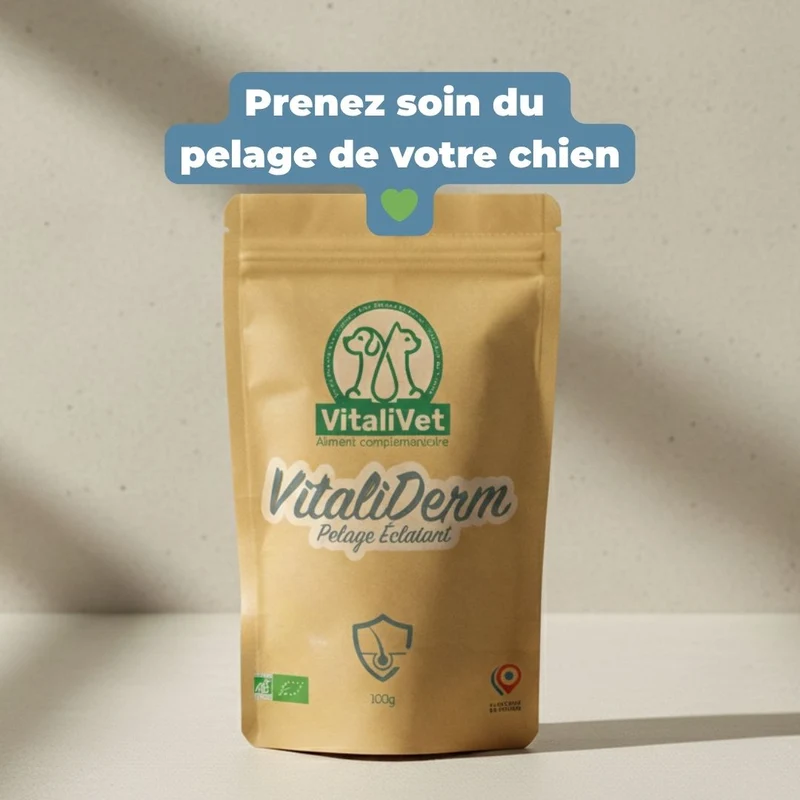 VitaliDerm – Pelage Éclatant - chien