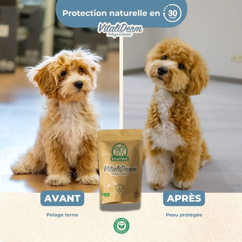 VitaliDerm – Pelage Éclatant - chien