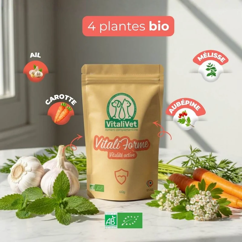 VitaliForme – Vitalité Active - chien