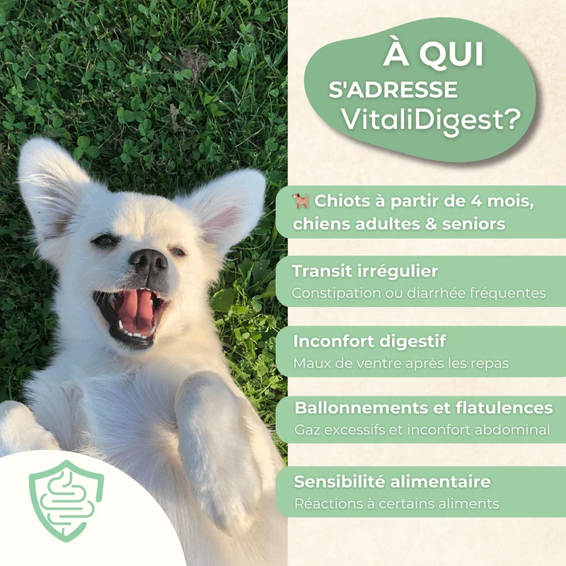 VitaliDigest – Équilibre Intestinal - chien
