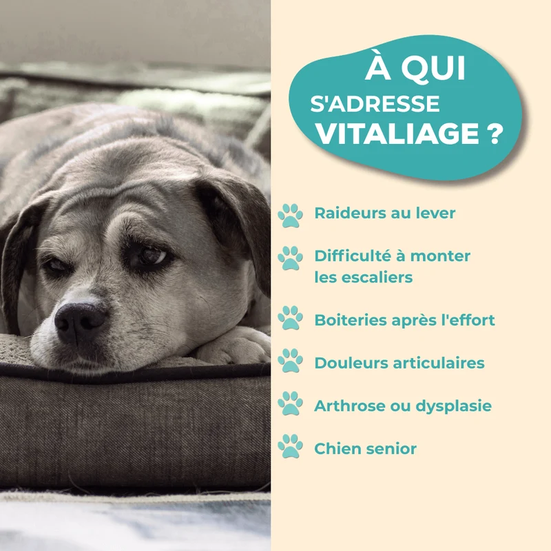 VitaliAge – Souplesse Sénior - chien