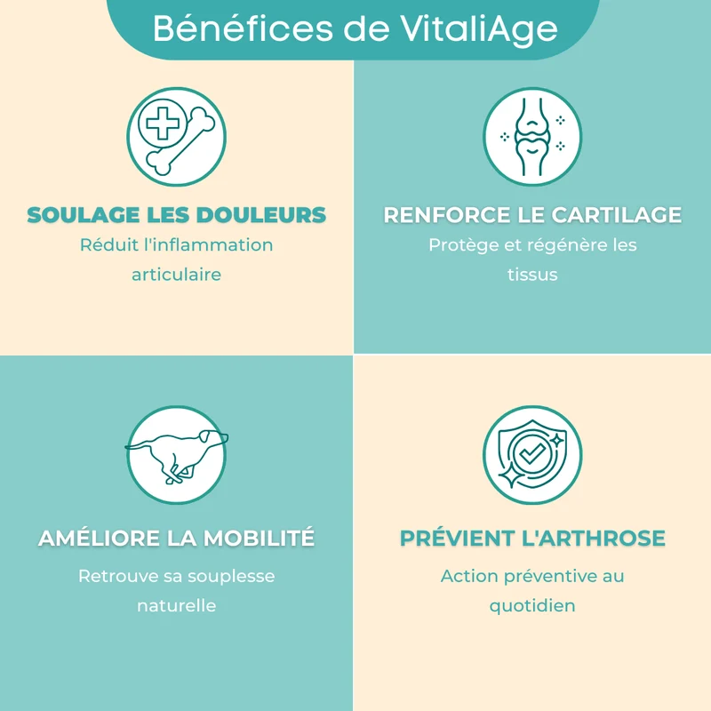 VitaliAge – Souplesse Sénior - chien