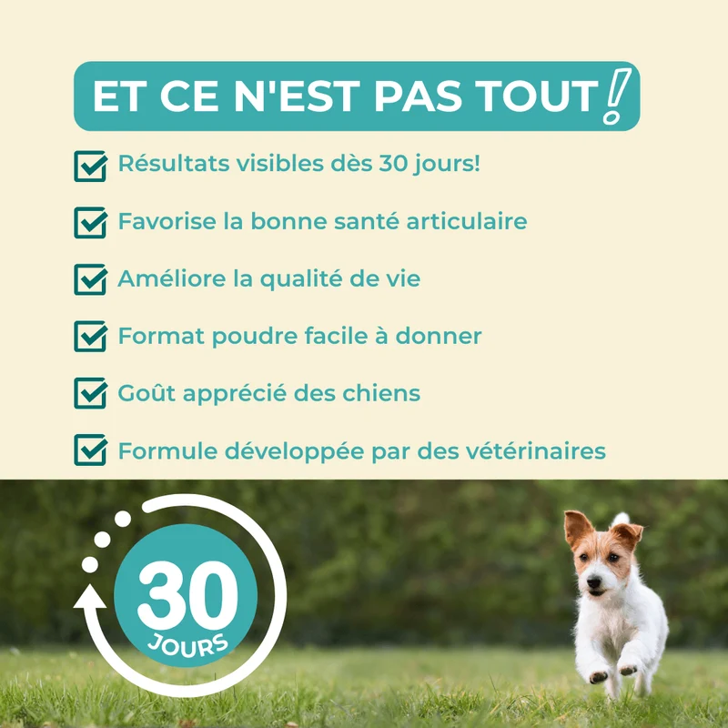 VitaliAge – Souplesse Sénior - chien