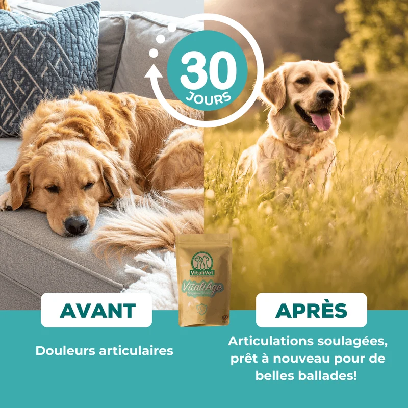 VitaliAge – Souplesse Sénior - chien
