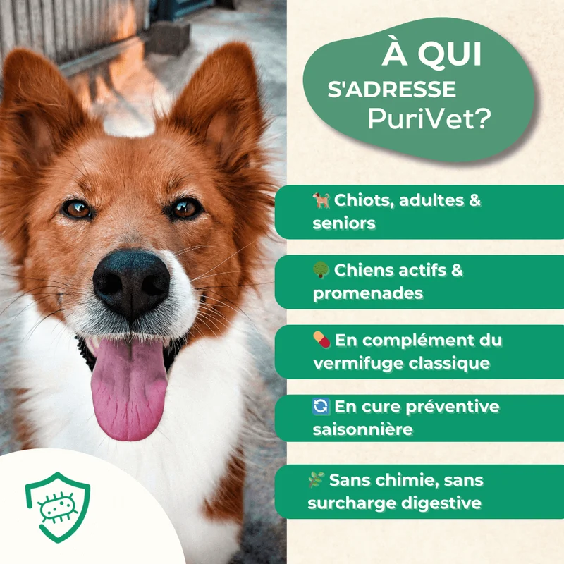 PuriVet – Défense Interne - chien