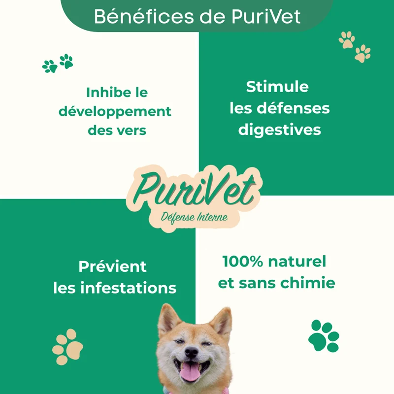 PuriVet – Défense Interne - chien