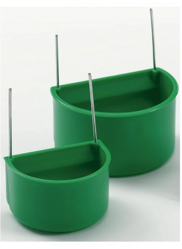 Plateau colibri petit vert